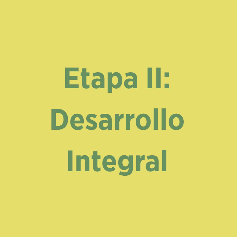 Etapa II: Desarrollo Integral